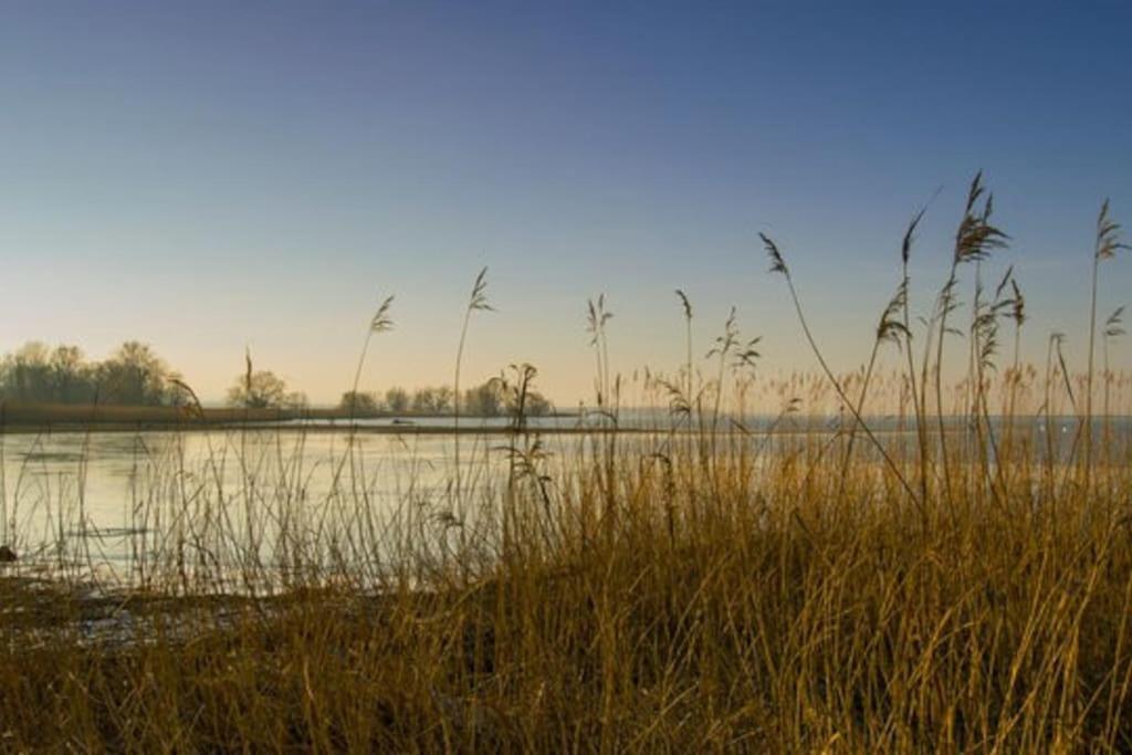 Bodensee Apartments, Sauna, Lake Walks, Free Parking, Self Checkin, Nature Reserve, Restaurants Nearby Gaissau  Екстер'єр фото