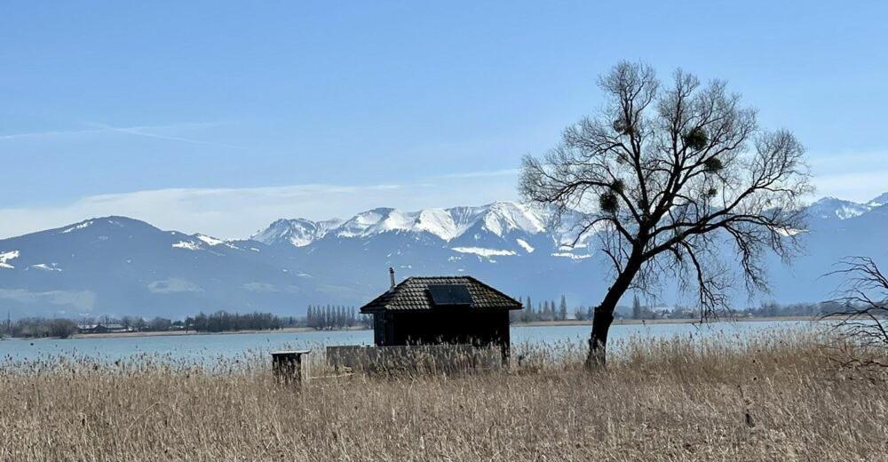 Bodensee Apartments, Sauna, Lake Walks, Free Parking, Self Checkin, Nature Reserve, Restaurants Nearby Gaissau  Екстер'єр фото