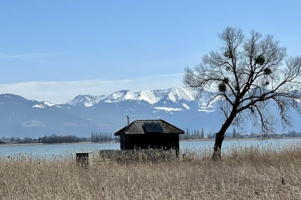 Bodensee Apartments, Sauna, Lake Walks, Free Parking, Self Checkin, Nature Reserve, Restaurants Nearby Gaissau  Екстер'єр фото