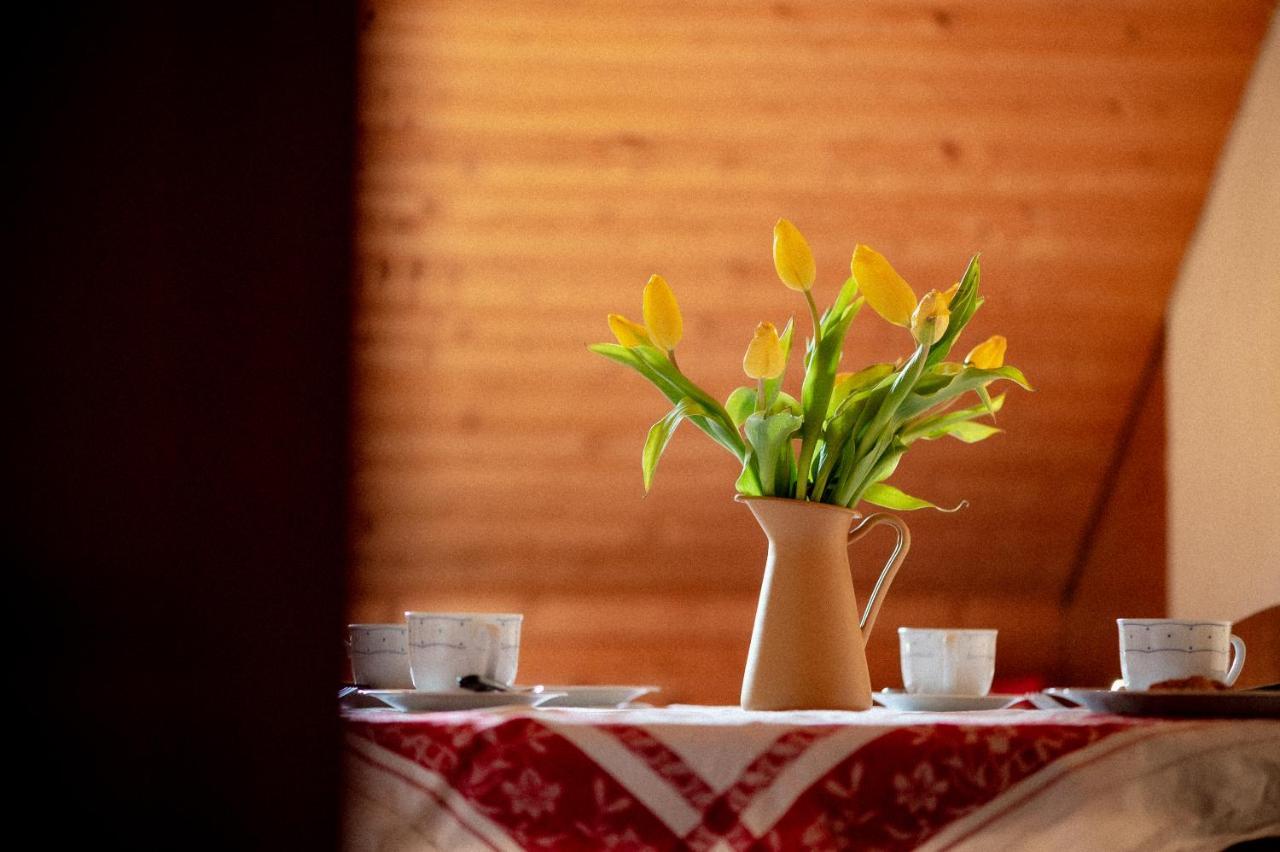 Bodensee Apartments, Sauna, Lake Walks, Free Parking, Self Checkin, Nature Reserve, Restaurants Nearby Gaissau  Екстер'єр фото